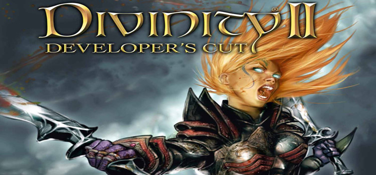 Divinity II Developers Cut Free Download Full PC Game