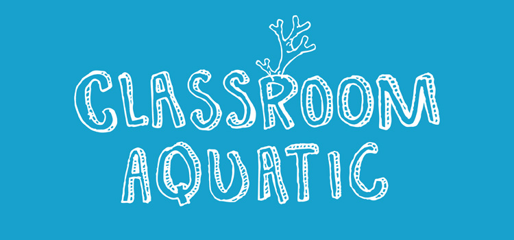 Classroom Aquatic Free Download FULL Version PC Game