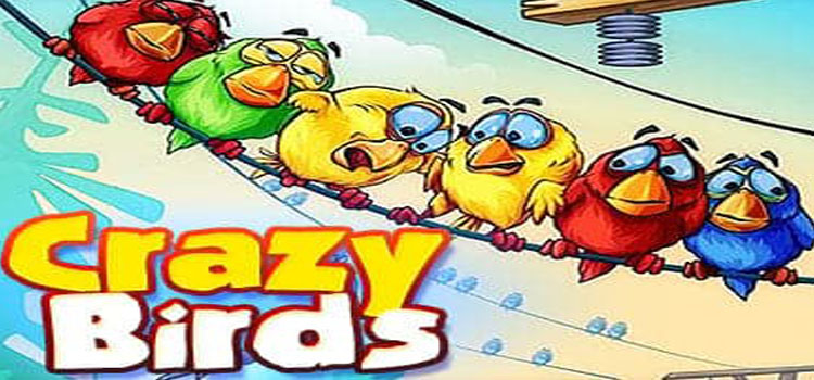 Crazy Birds Free Download Full Version Crack PC Game